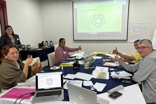 Capacitación Comité Director