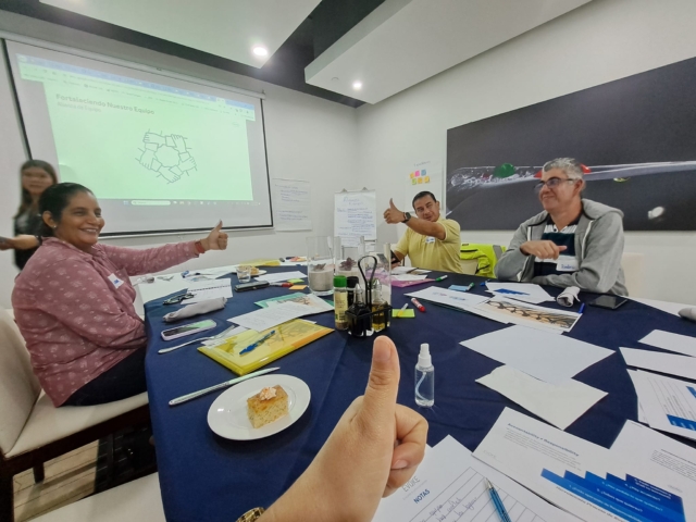 Capacitación Comité Director